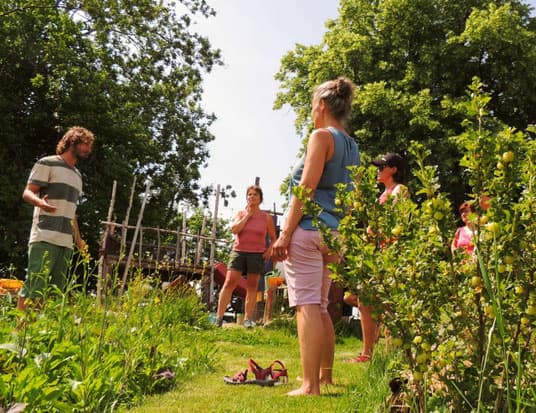 Gartenberatung