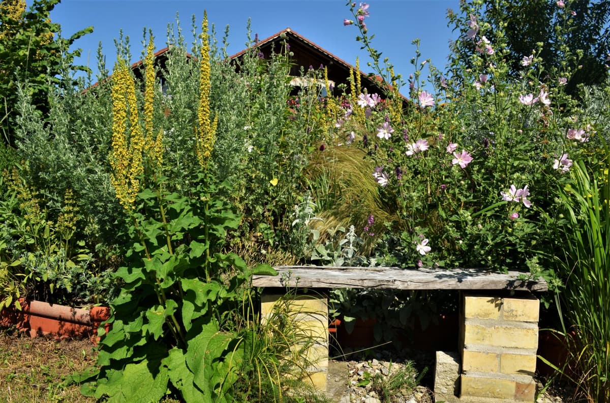 Blüh- und Duftgarten