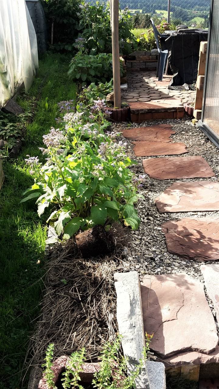 Permakultur-Schrebergarten