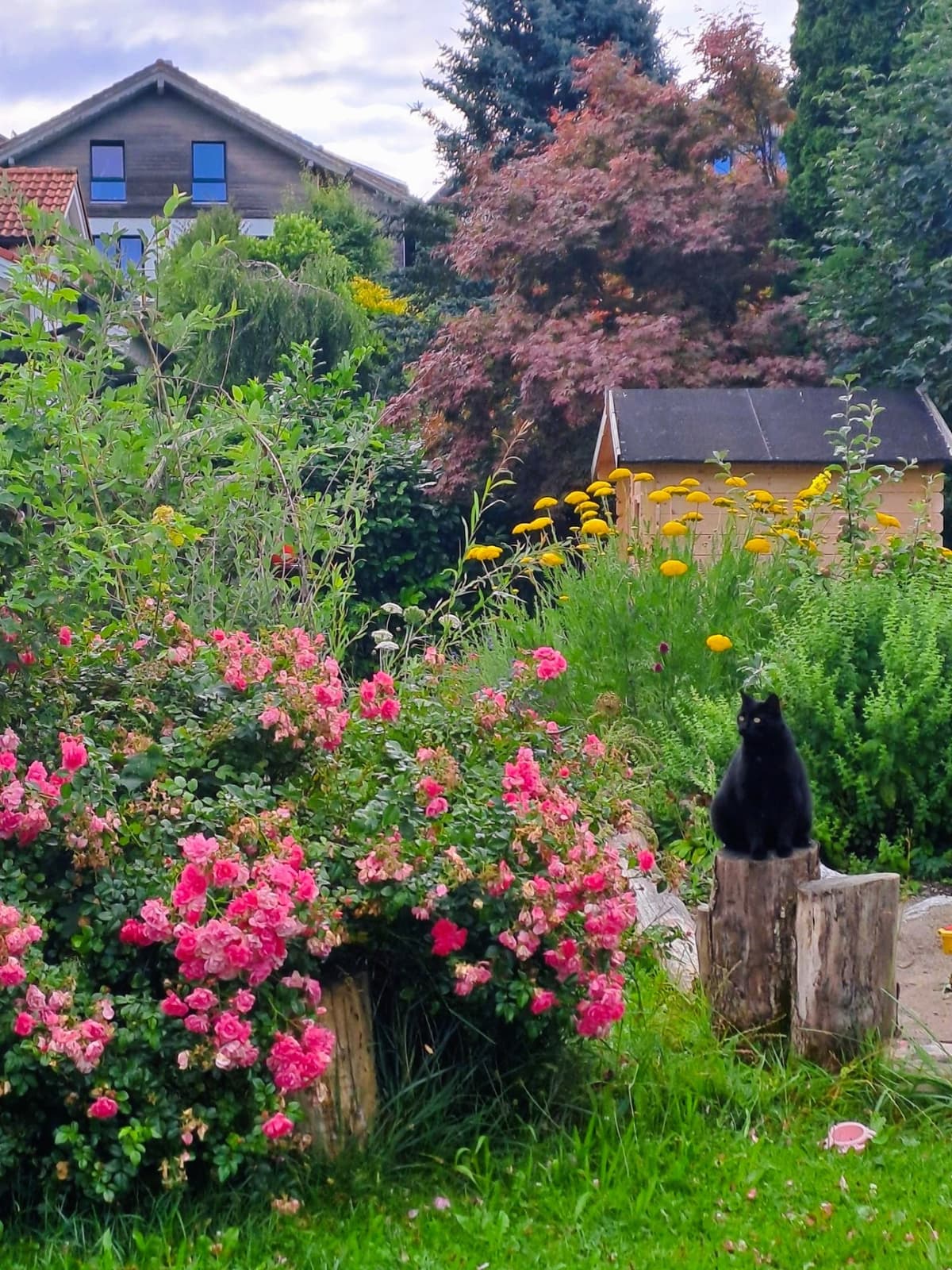 Abenteuer- und Rückzugsgarten - Bild 11