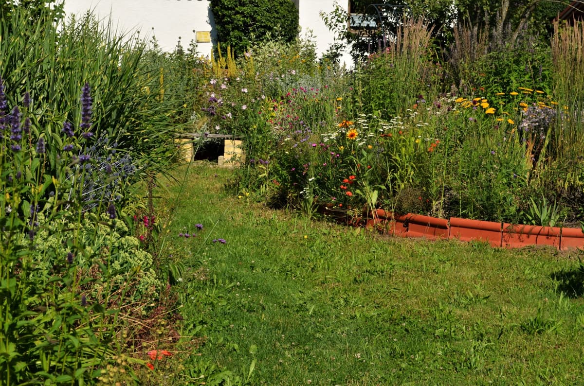 Blüh- und Duftgarten - Bild 13