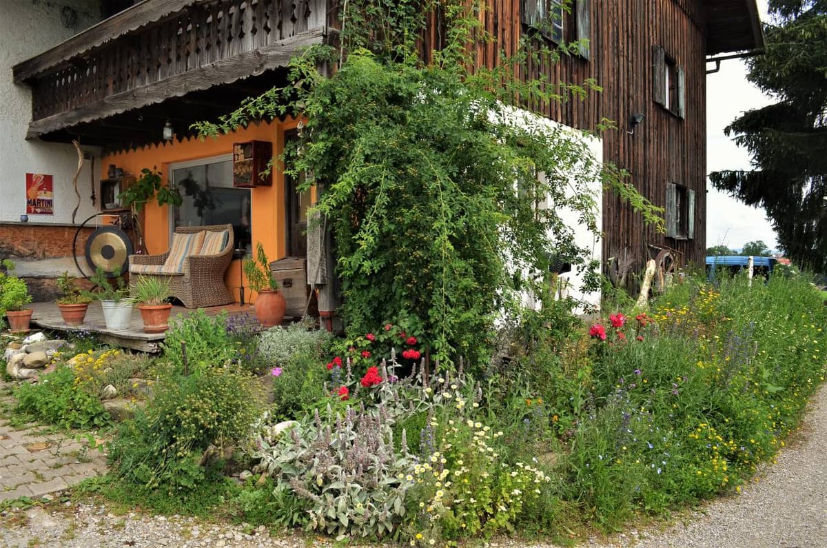 Permakultur-Selbstversorger Garten - Bild 15