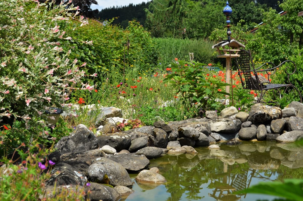 Blüh- und Duftgarten - Bild 16
