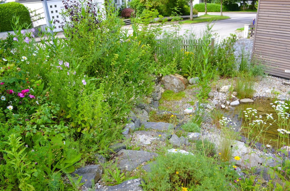 Natur-Paradies - Bild 17