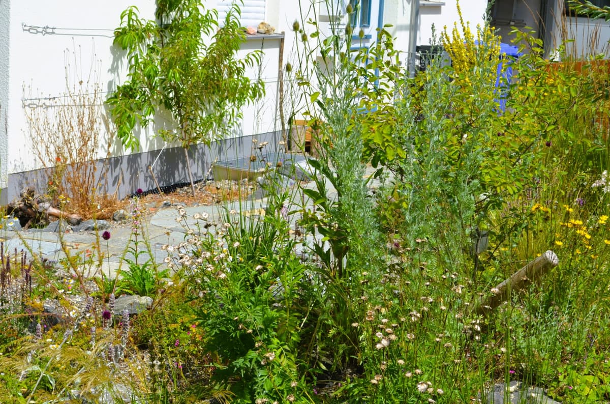 Ruhe und Erlebnis-Oase - Bild 18