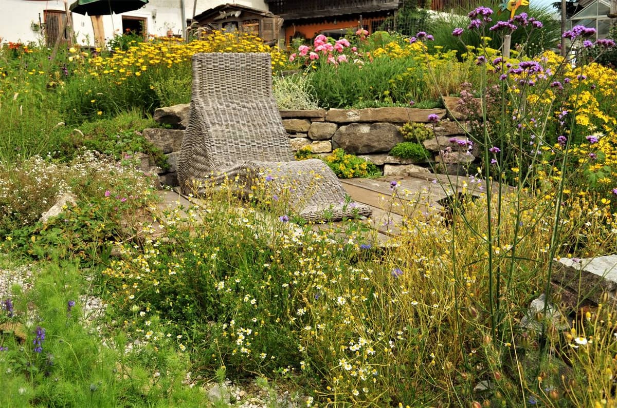 Permakultur-Sitzplatz mit Wildblumen und Trockenmauer im Allgäu