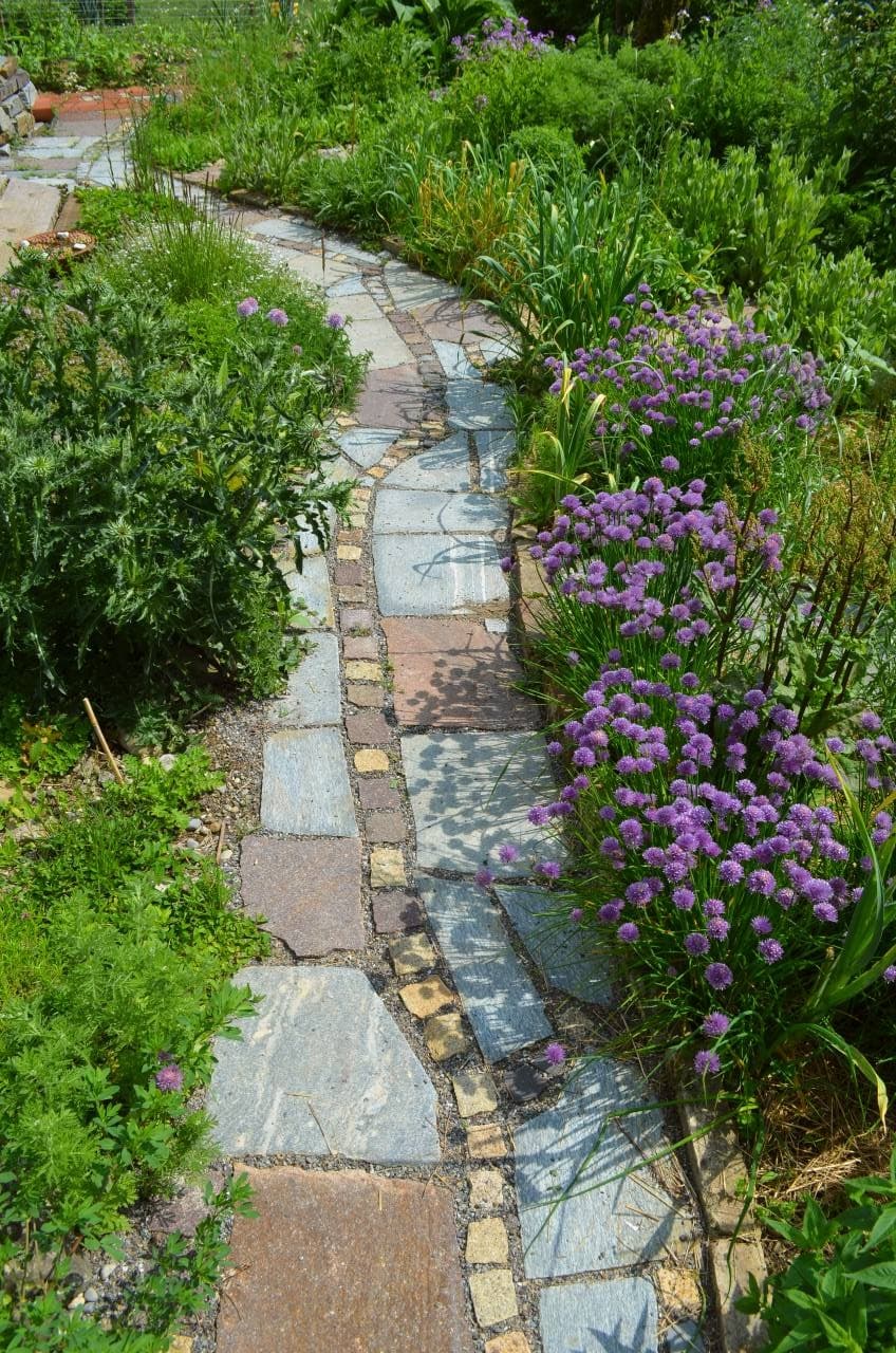 Geschwungener Weg mit blühenden Kräutern in einem Permakultur-Garten
