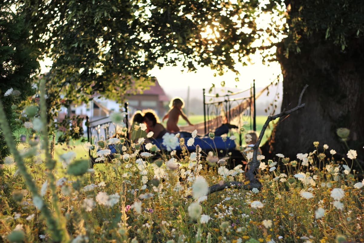 Permakultur-Selbstversorger Garten - Bild 27