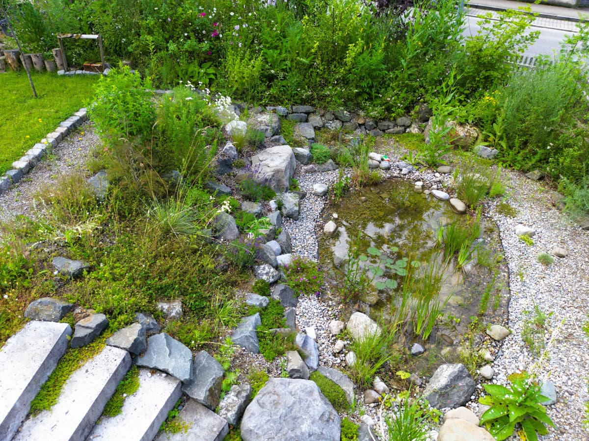 Natur-Paradies - Bild 3