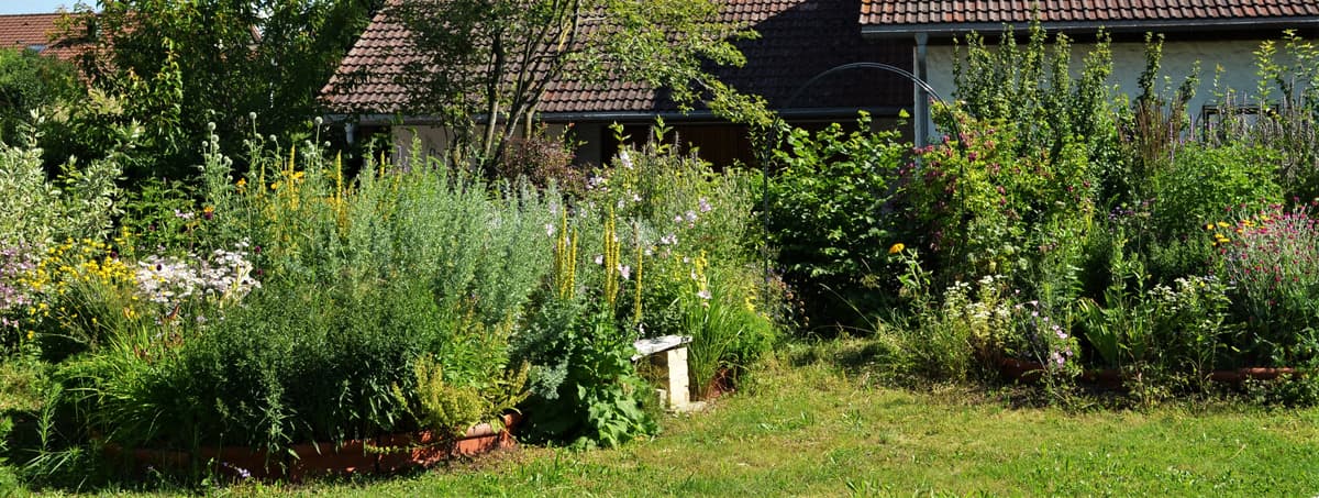 Blüh- und Duftgarten - Bild 4