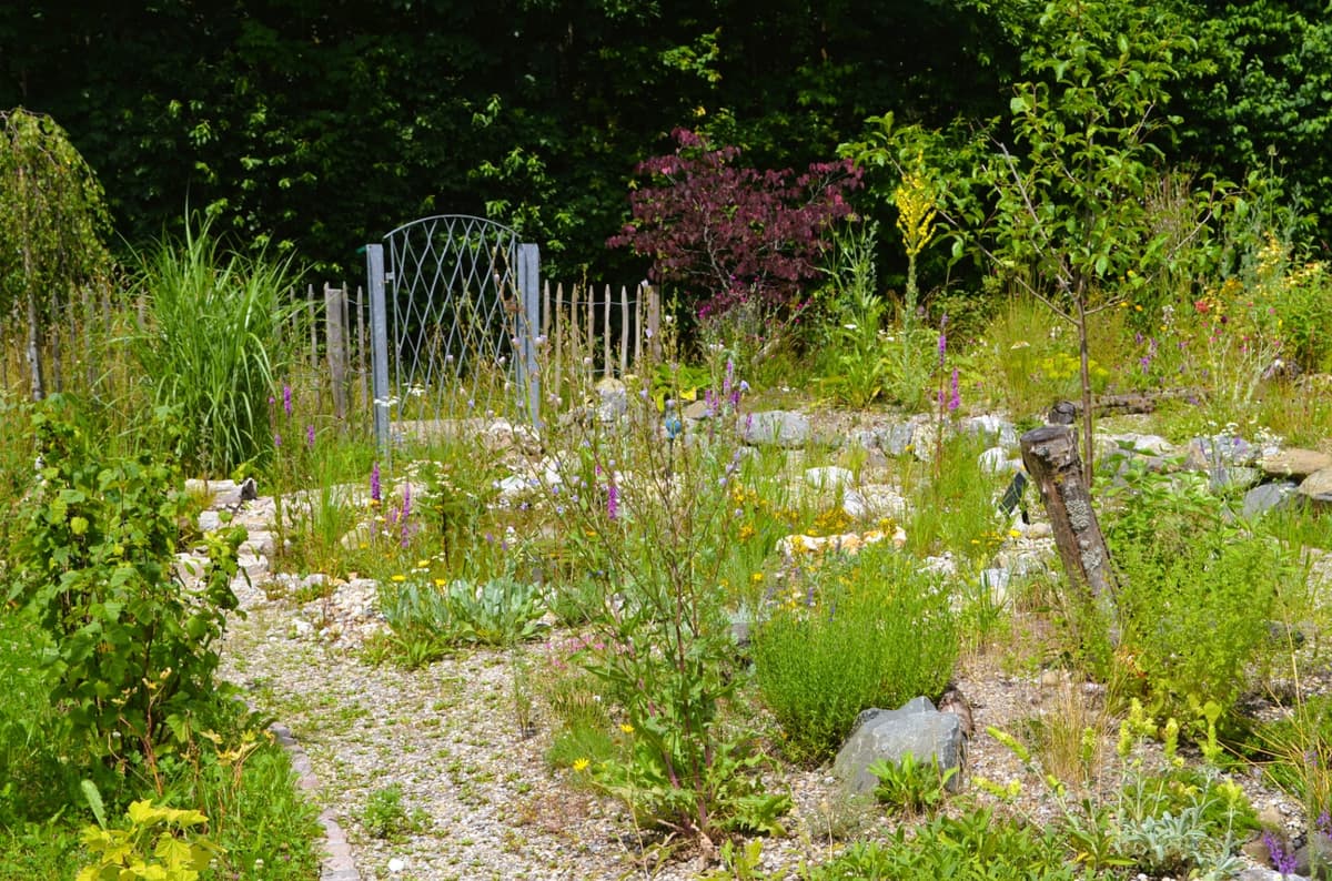 Ruhe und Erlebnis-Oase - Bild 4