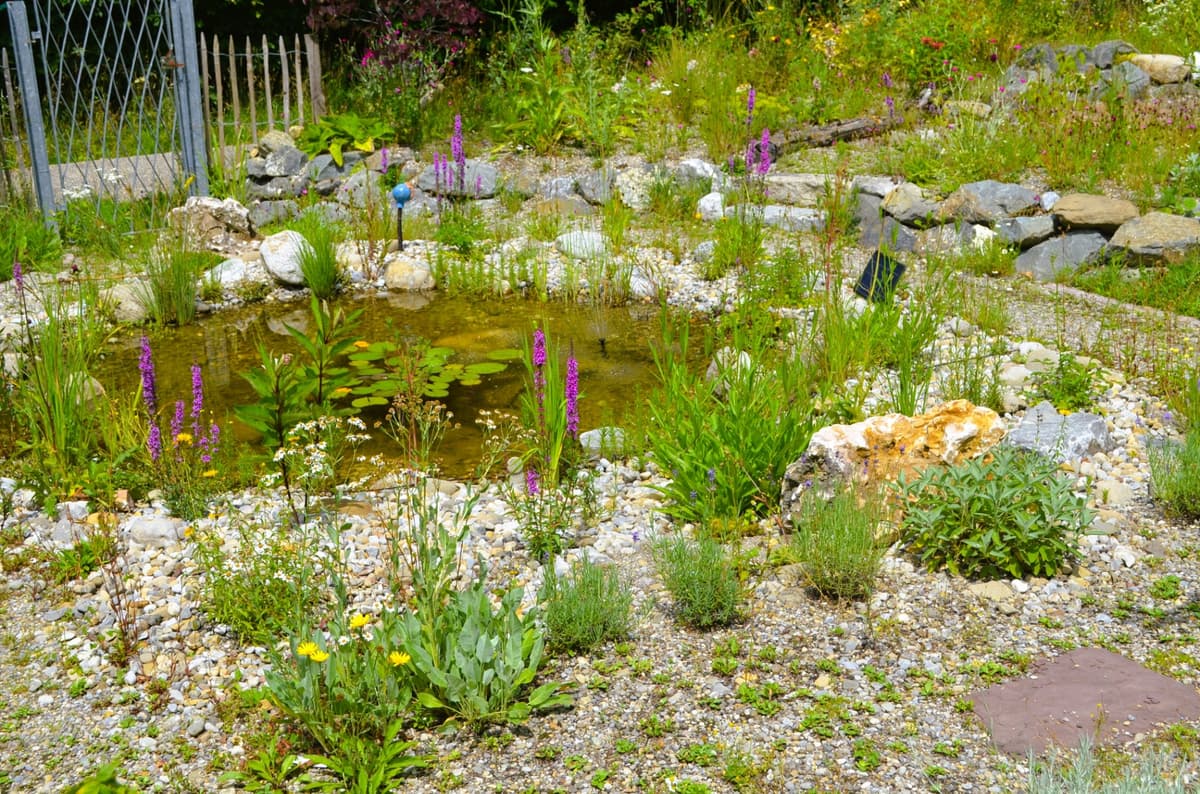 Ruhe und Erlebnis-Oase - Bild 5