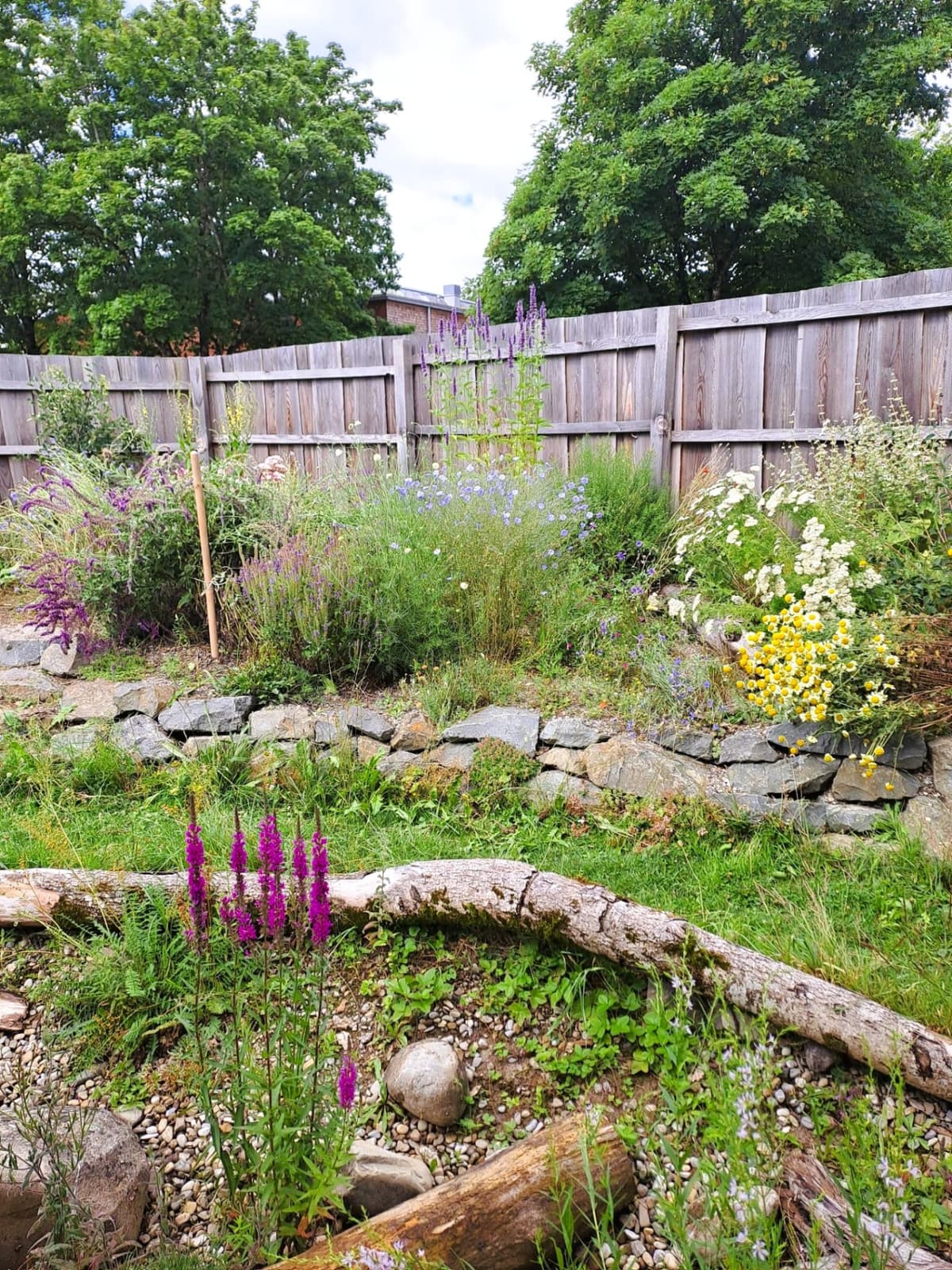 Abenteuer- und Rückzugsgarten - Bild 6