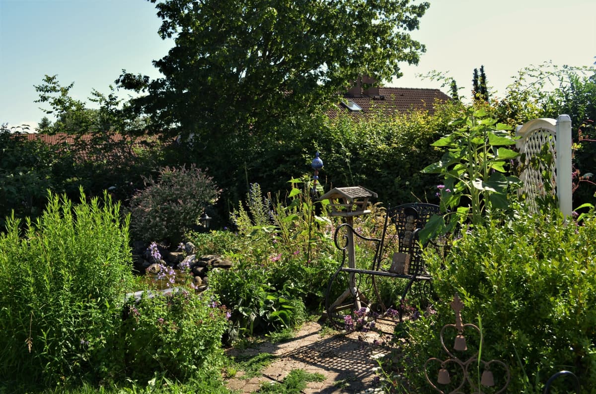 Blüh- und Duftgarten - Bild 6