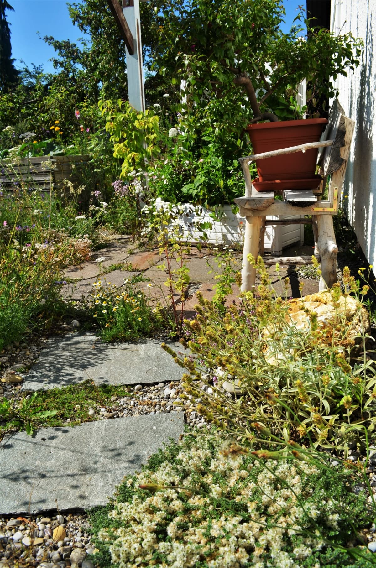 Blüh- und Duftgarten - Bild 7