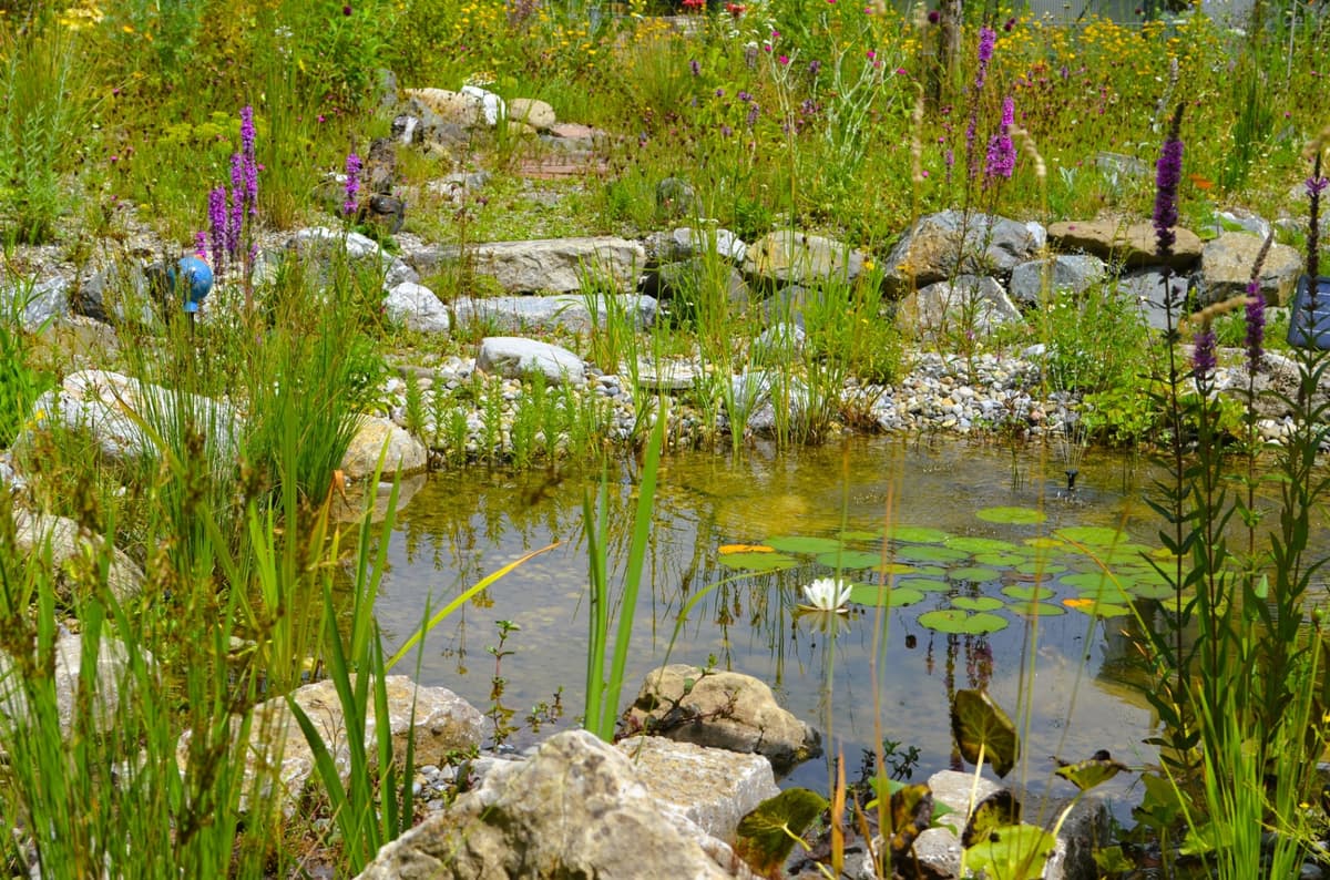 Ruhe und Erlebnis-Oase - Bild 7