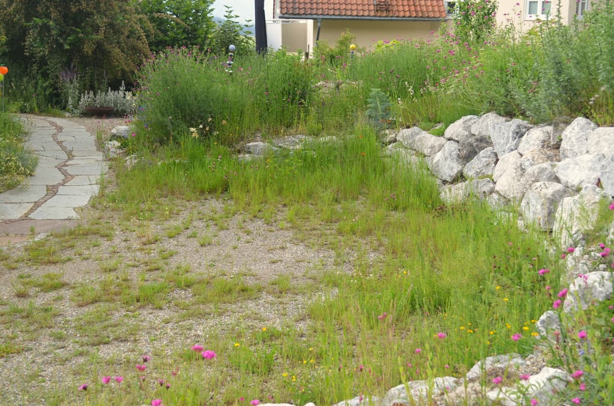 Landschaftsgarten zum Entspannen - Bild 7