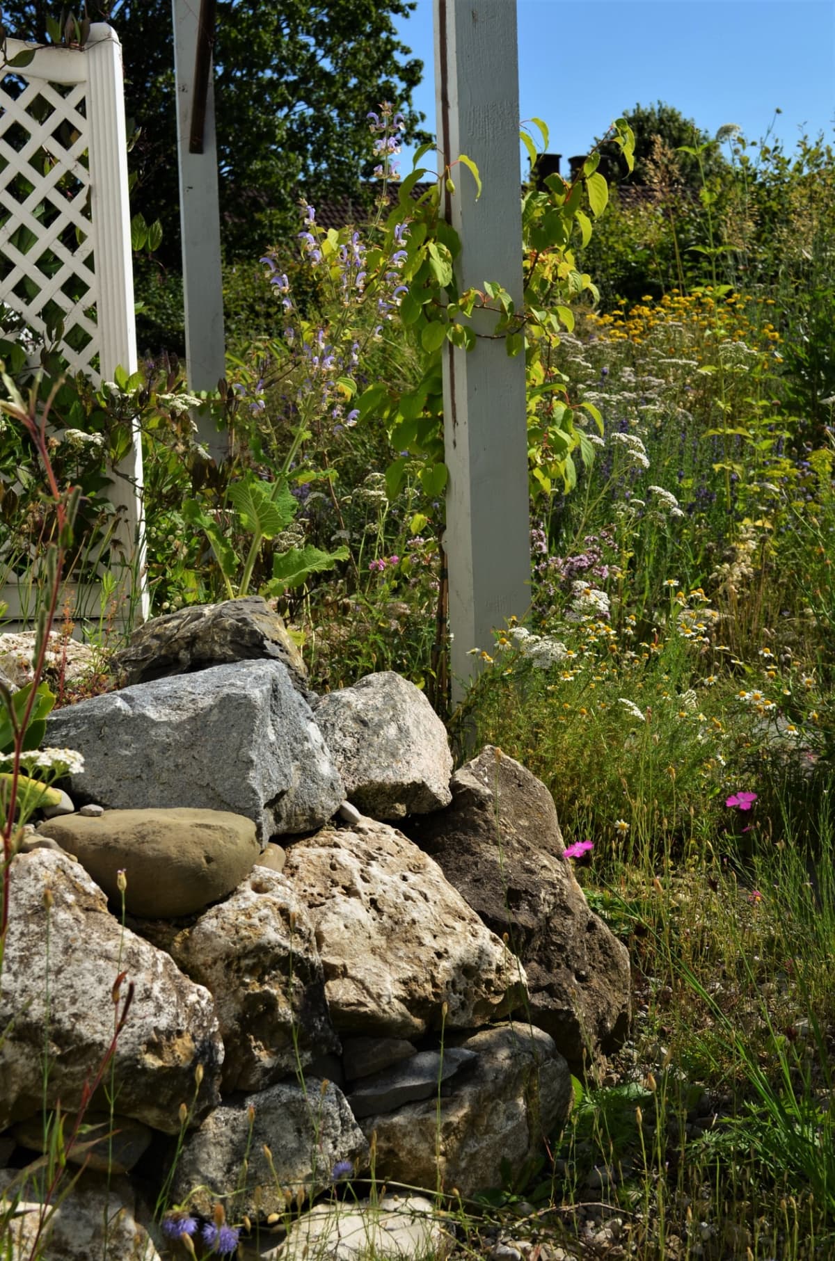 Blüh- und Duftgarten - Bild 9