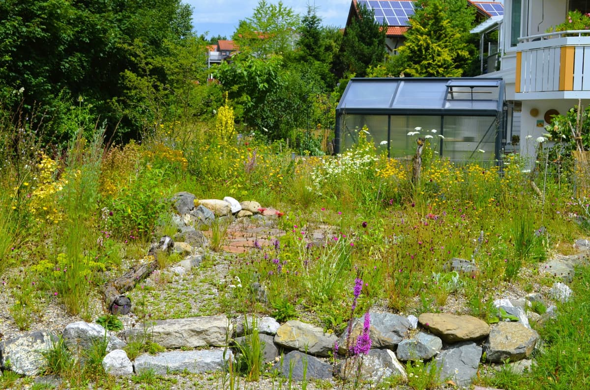 Ruhe und Erlebnis-Oase - Bild 9