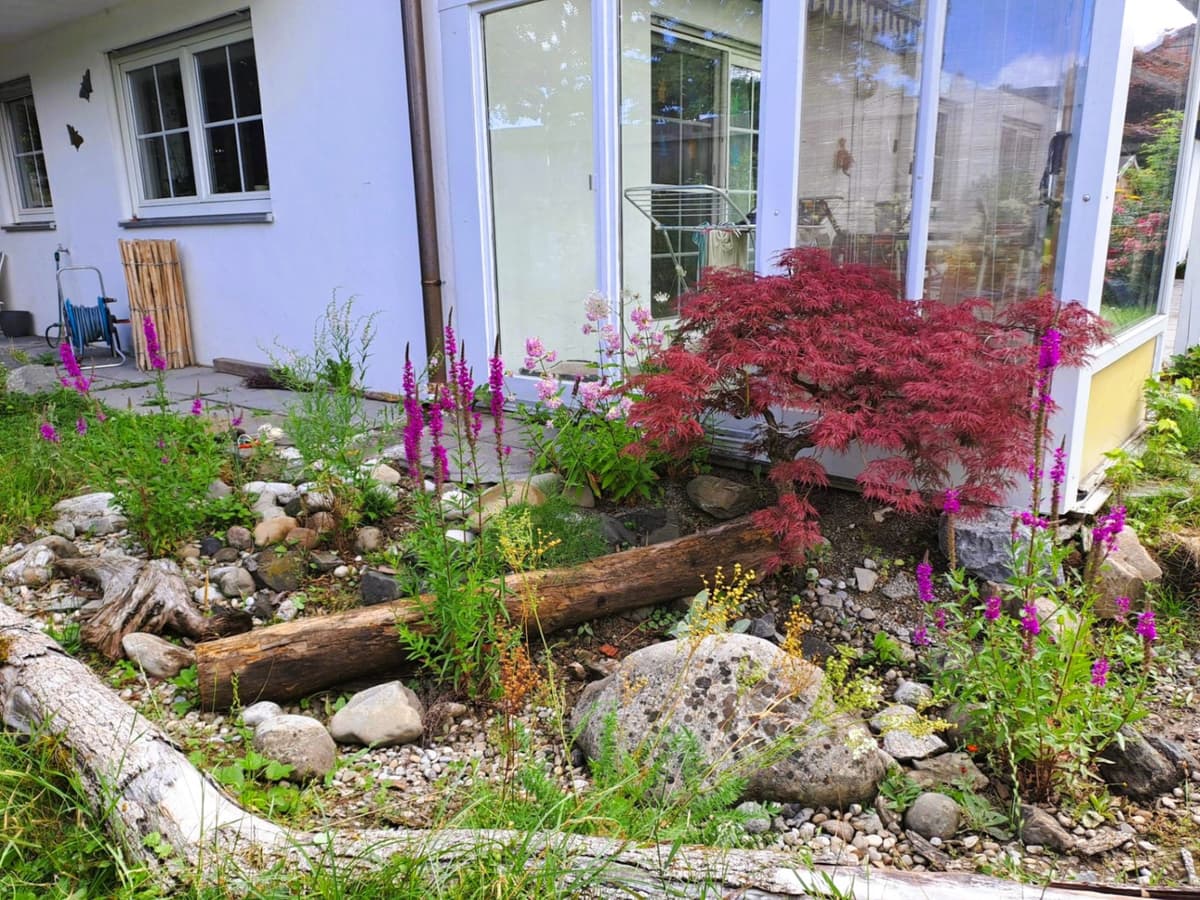 Abenteuer- und Rückzugsgarten - Bild 9