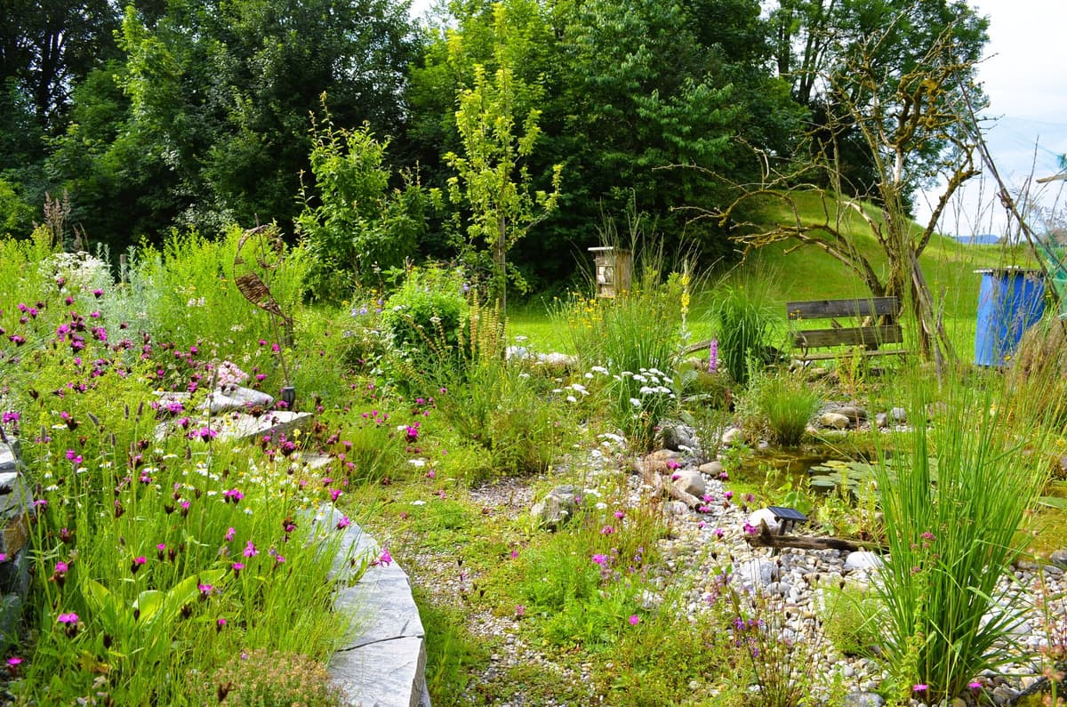 Garten neu anlegen: Was du VOR dem ersten Spatenstich wissen musst (und was 5.000 Euro Lehrgeld spart)