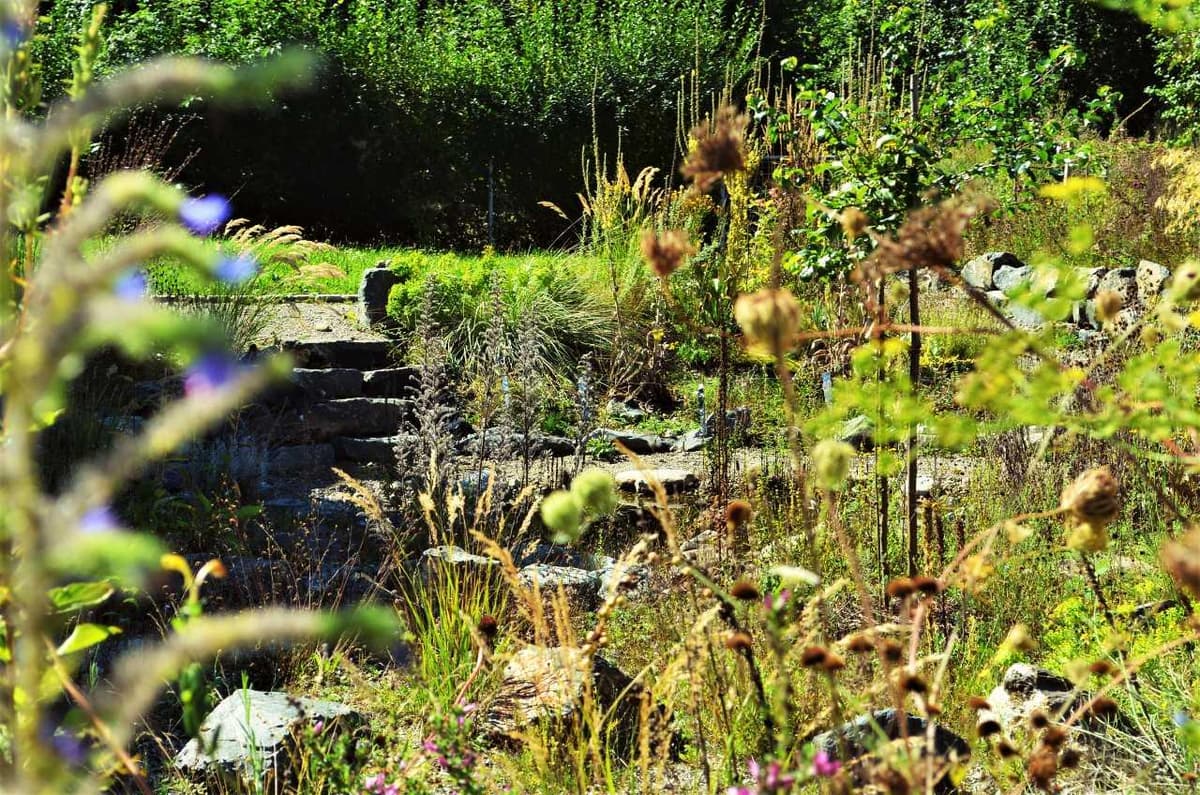 Herbst ist Pflanzzeit: Warum der Oktober deinem Garten mehr bringt als der Mai