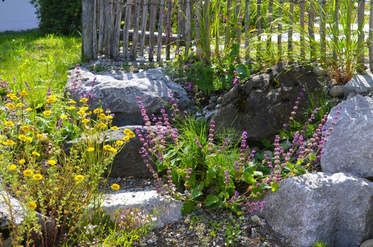 Trockensteinmauer mit blühenden Wildstauden in den Fugen