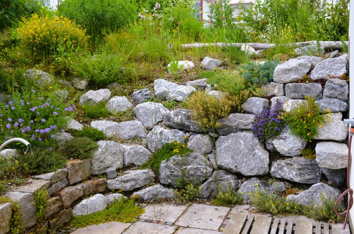 Große Trockensteinmauer aus regionalen Wasserbausteinen mit Bepflanzung