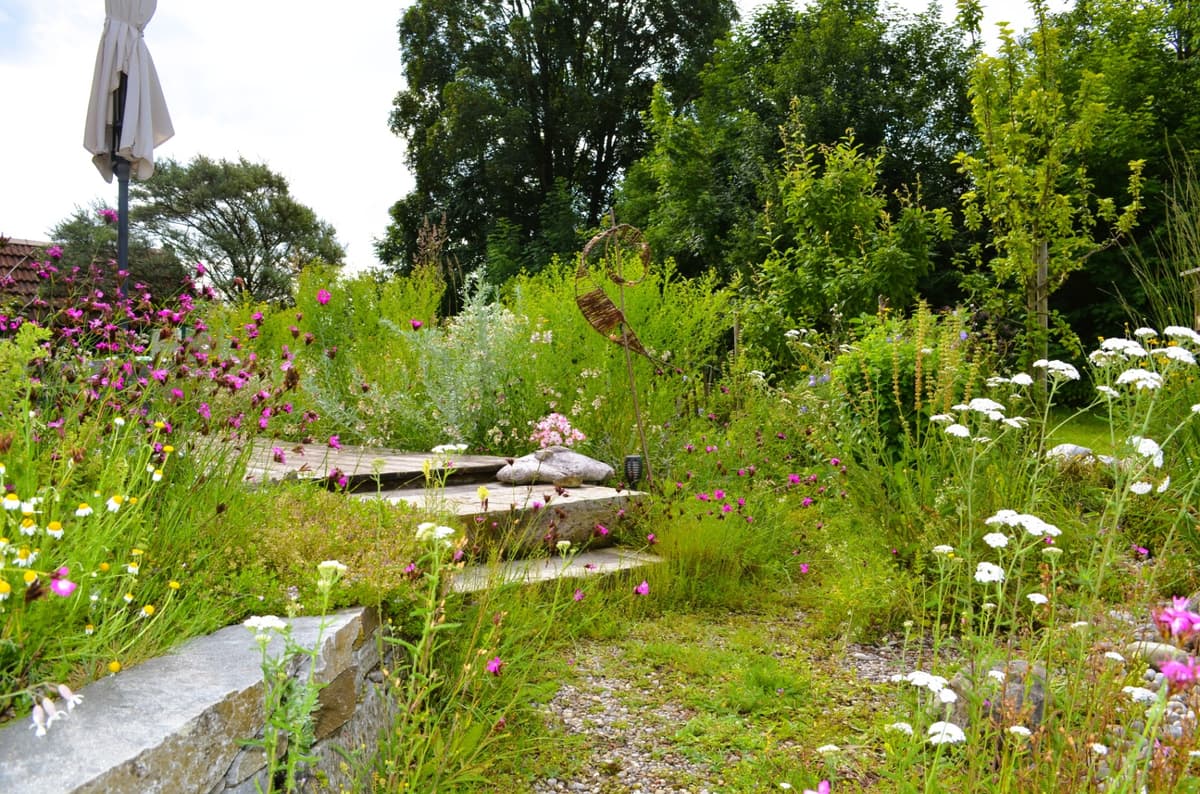 Selbstversorger-Naturgarten - Bild 11