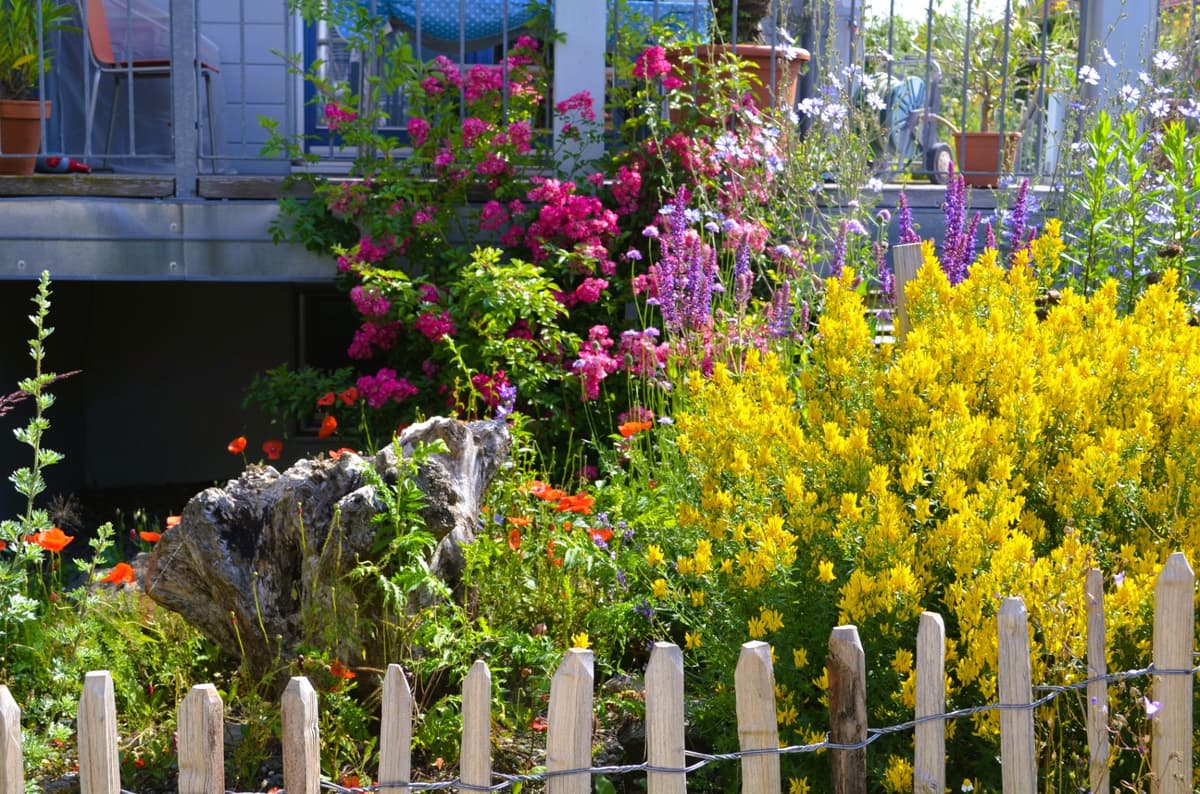 Natur- und Landschaftsgarten - Bild 11