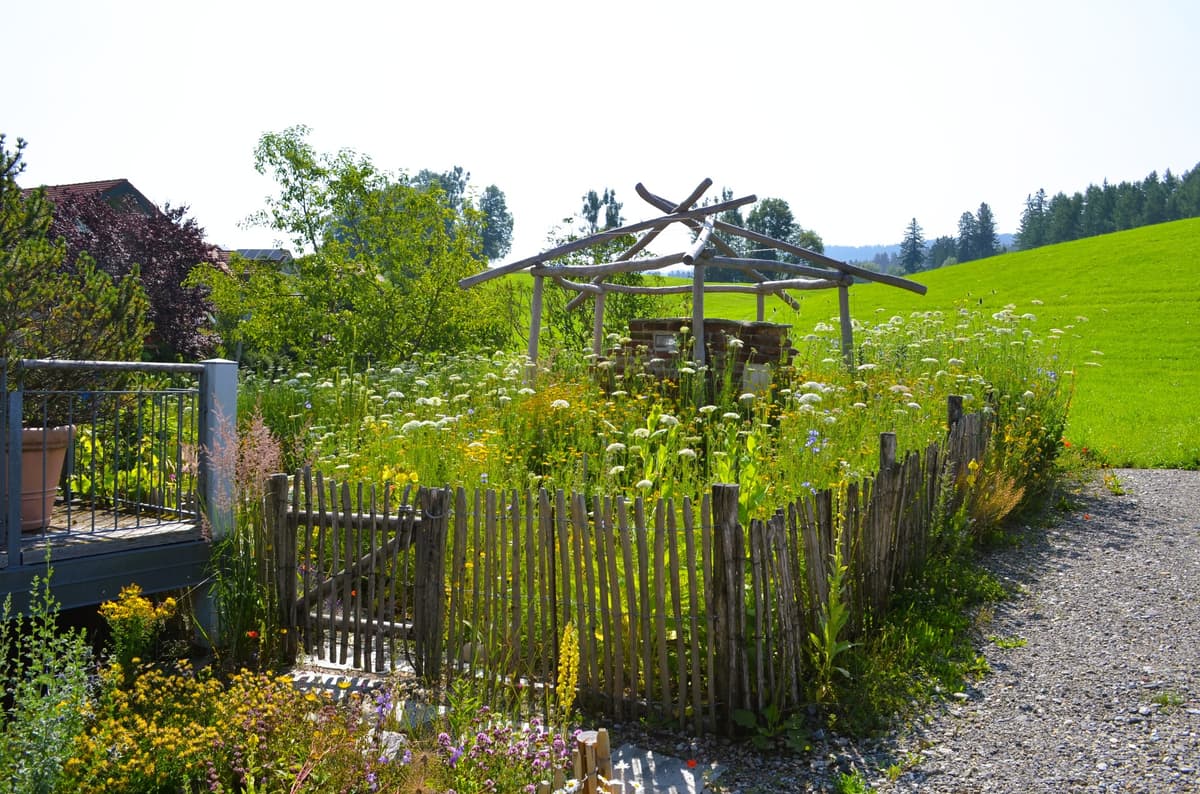 Natur- und Landschaftsgarten - Bild 12