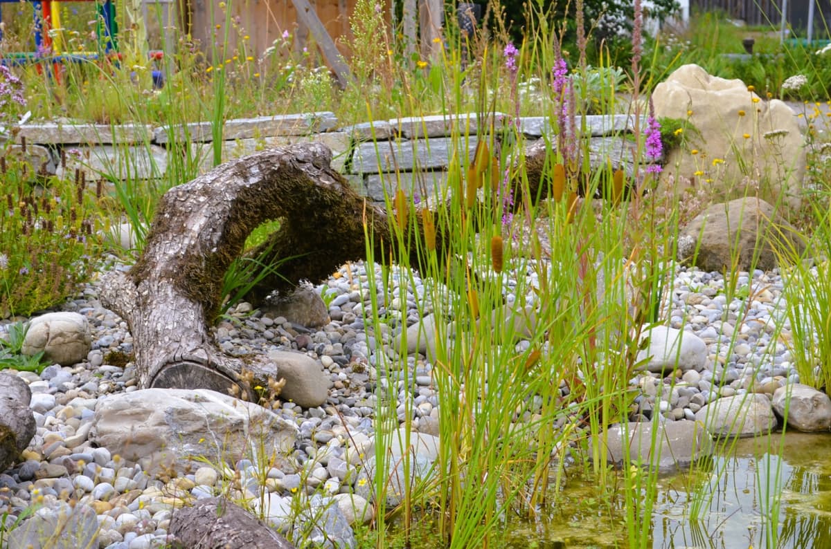 Selbstversorger-Naturgarten - Bild 12