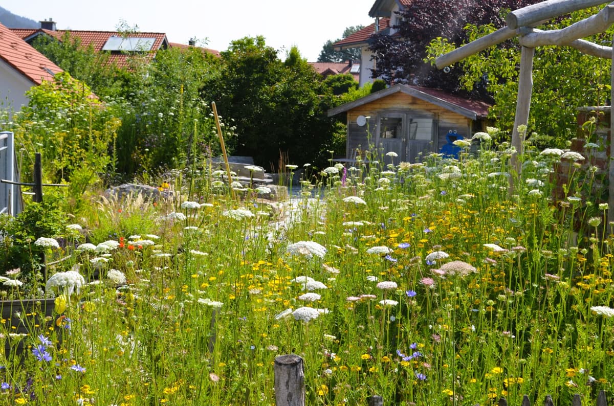 Natur- und Landschaftsgarten - Bild 13