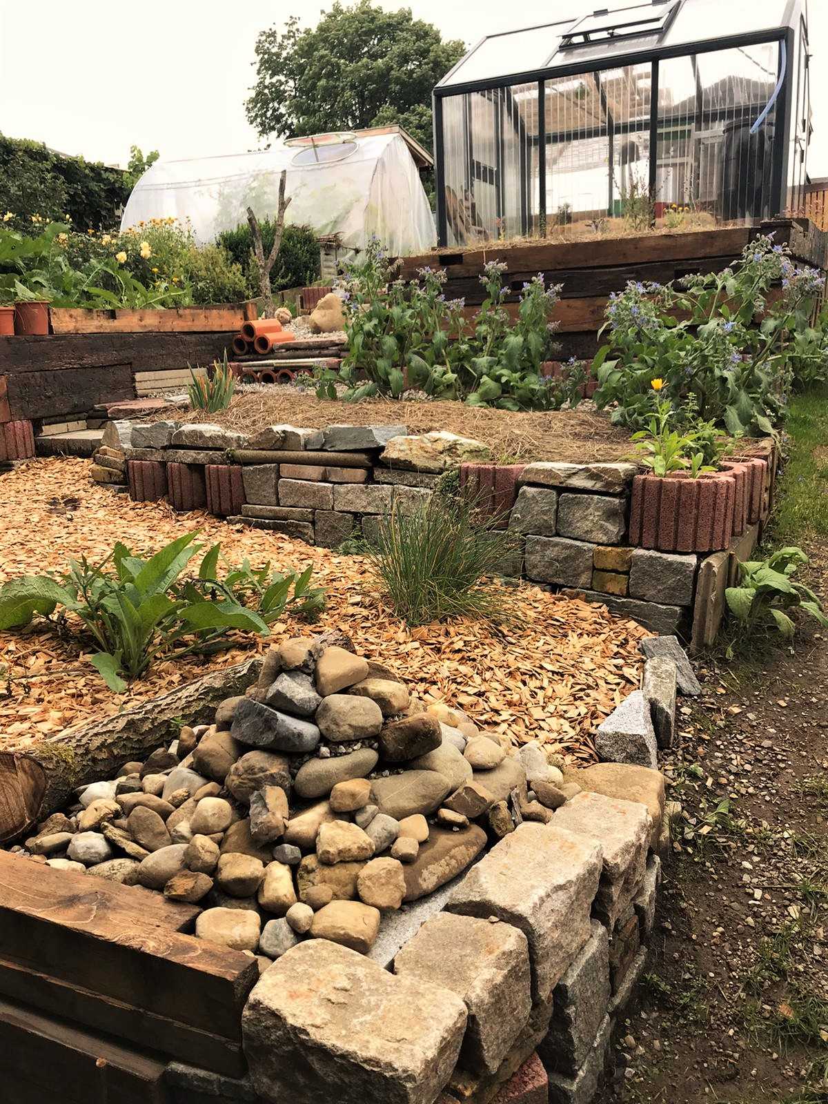 Natur- und Permakultur-Schrebergarten - Bild 13