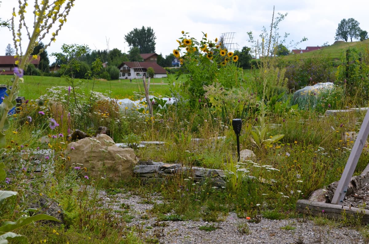 Selbstversorger-Naturgarten - Bild 13