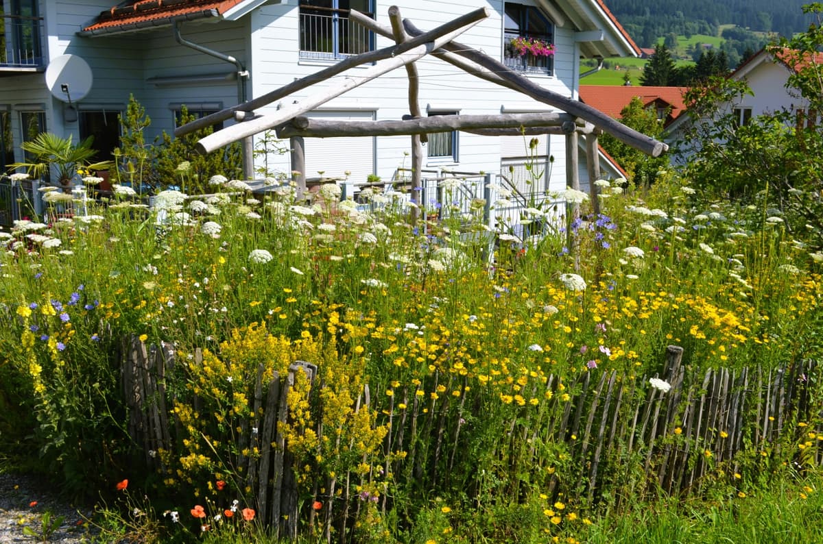 Natur- und Landschaftsgarten - Bild 14