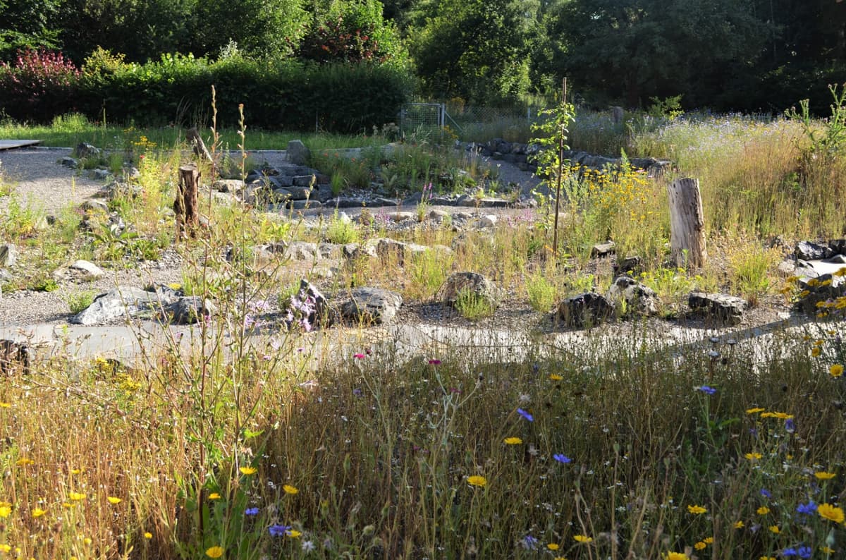 Natur-Erlebnis-Garten - Bild 14