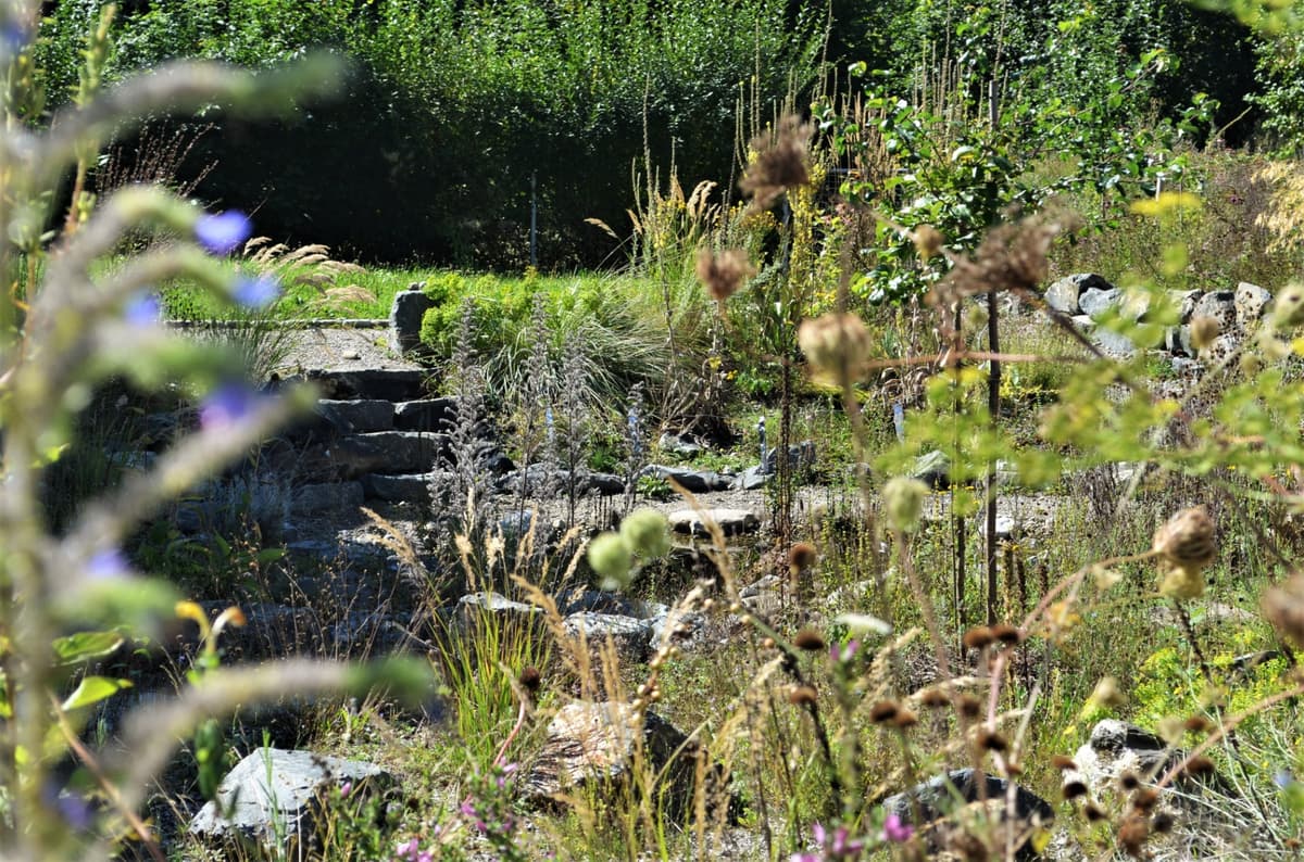 Natur-Erlebnis-Garten - Bild 16