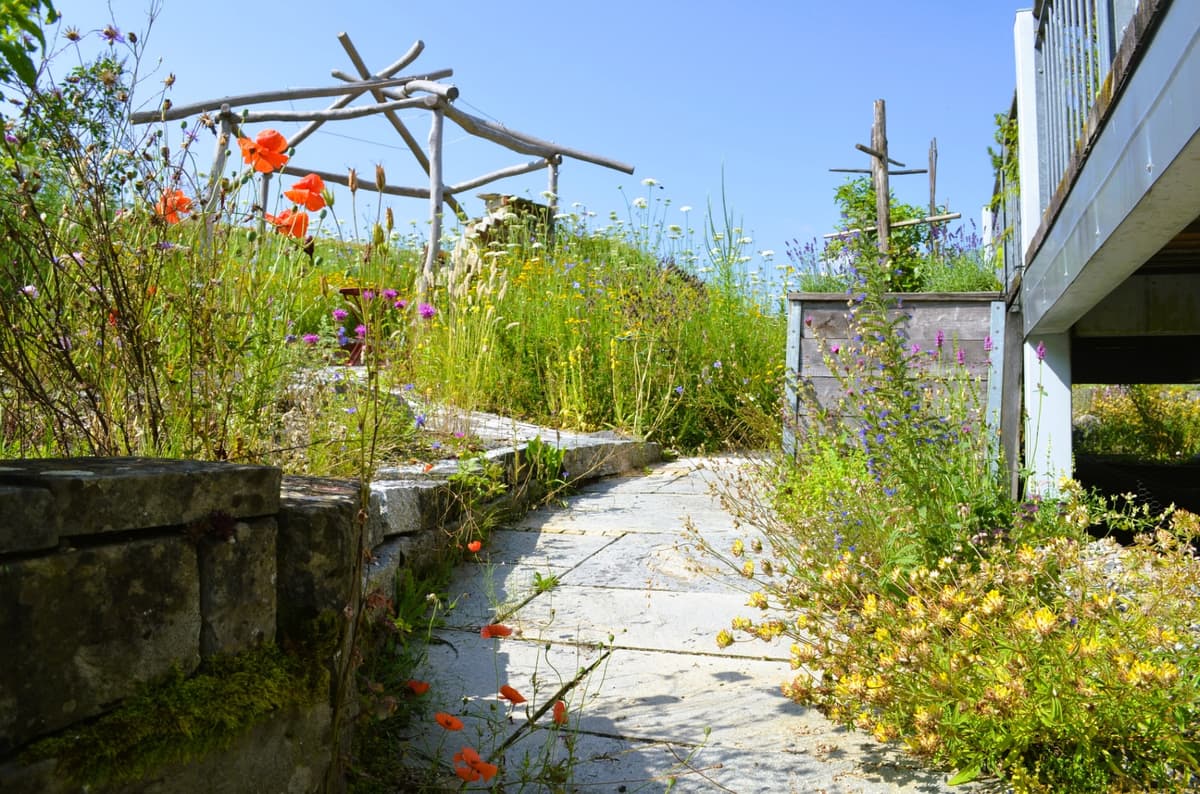 Natur- und Landschaftsgarten - Bild 16