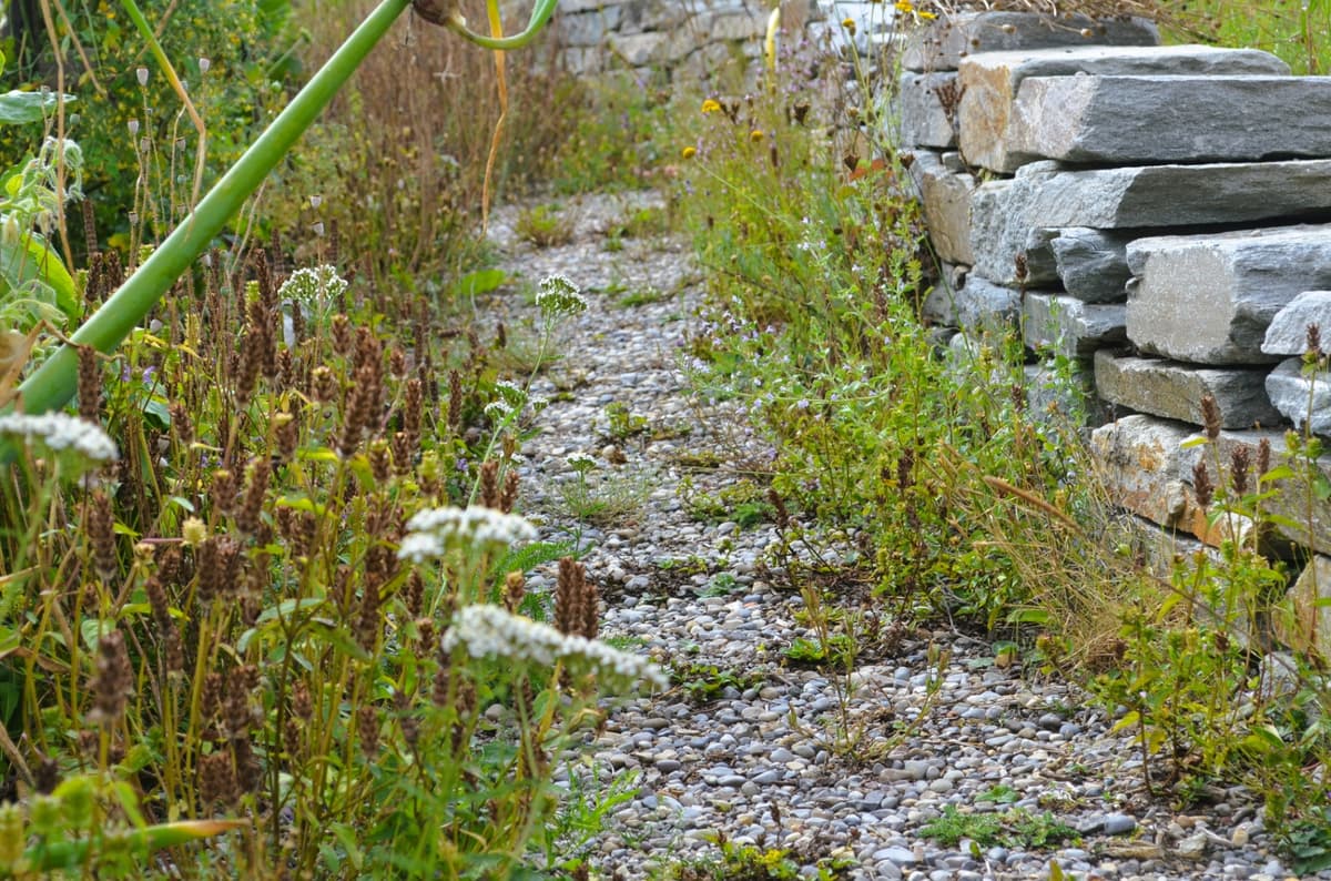 Selbstversorger-Naturgarten - Bild 18