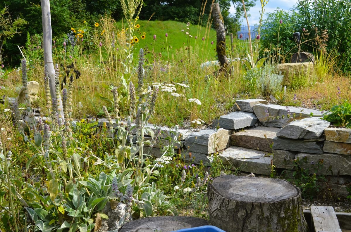 Selbstversorger-Naturgarten - Bild 19