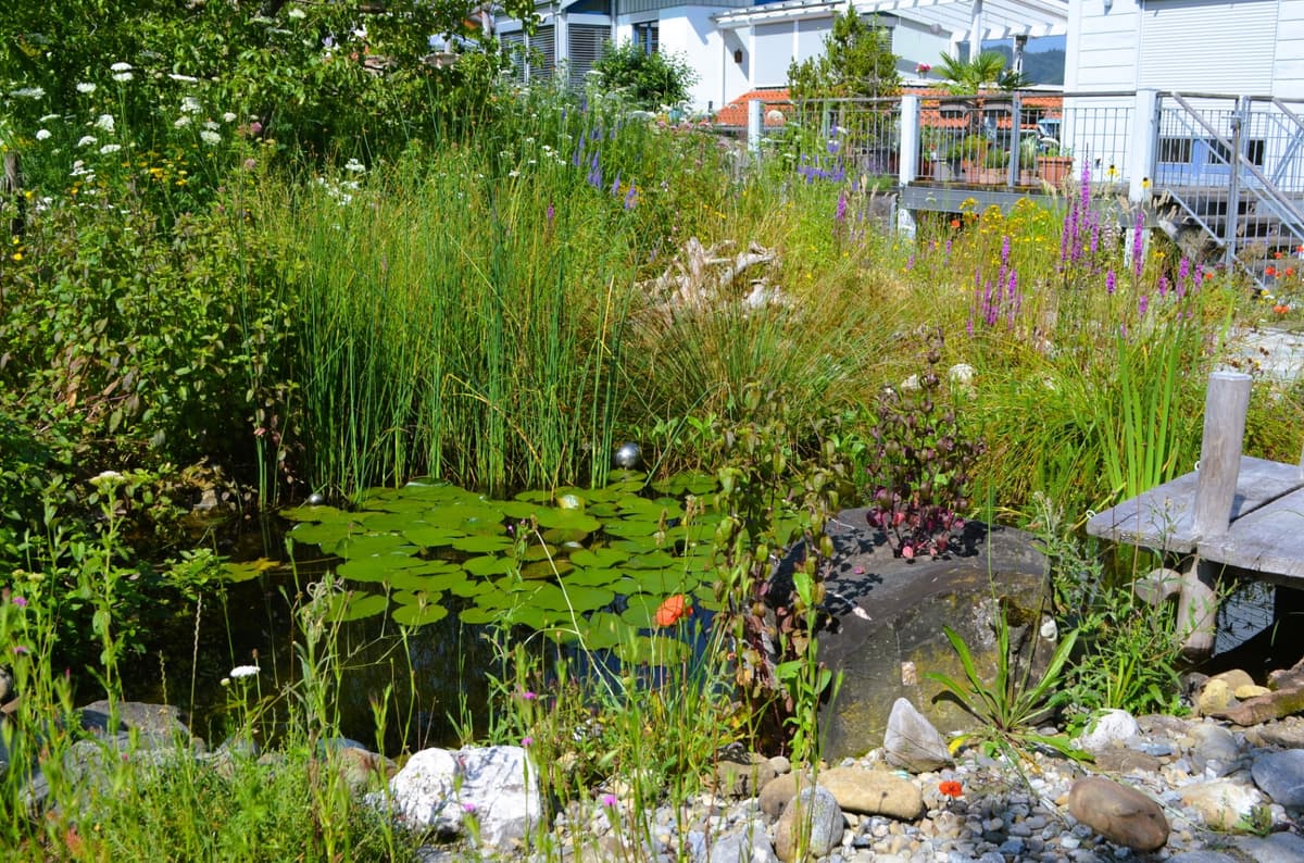 Natur- und Landschaftsgarten - Bild 20