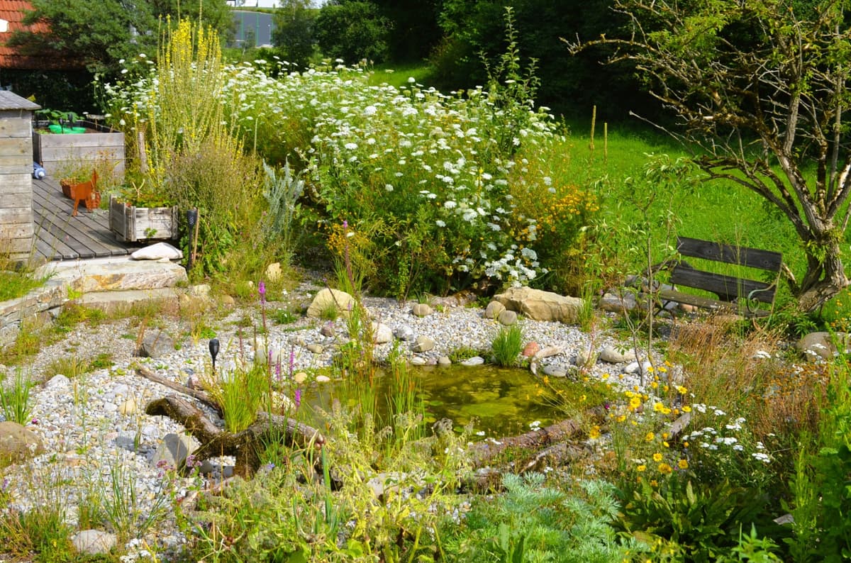 Selbstversorger-Naturgarten - Bild 20