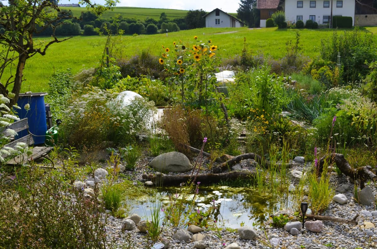 Selbstversorger-Naturgarten - Bild 22