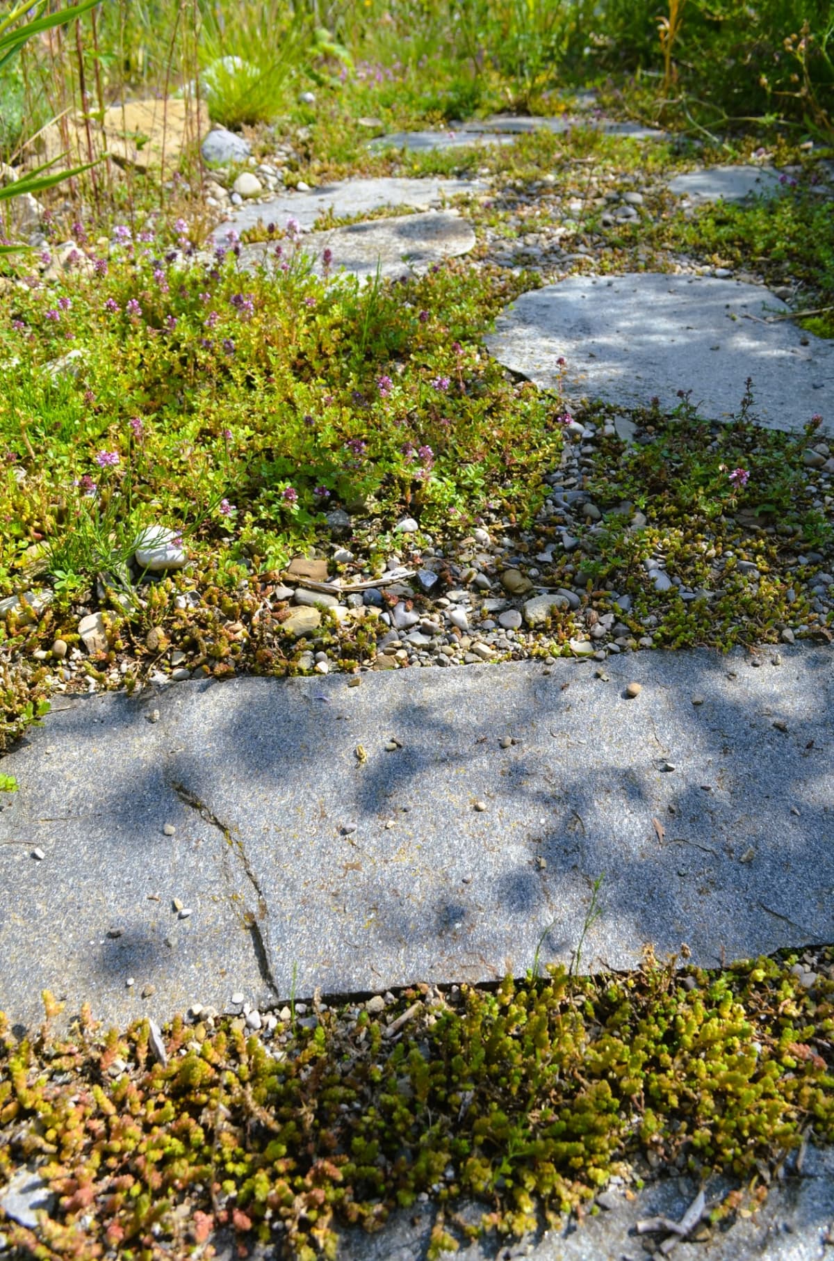 Natur- und Landschaftsgarten - Bild 22