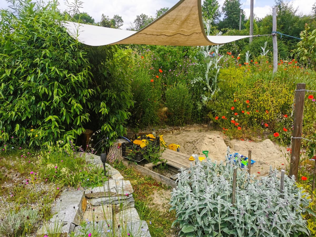 Selbstversorger-Naturgarten - Bild 23