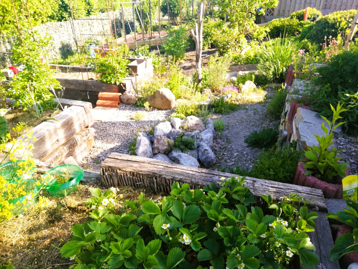 Natur- und Permakultur-Schrebergarten