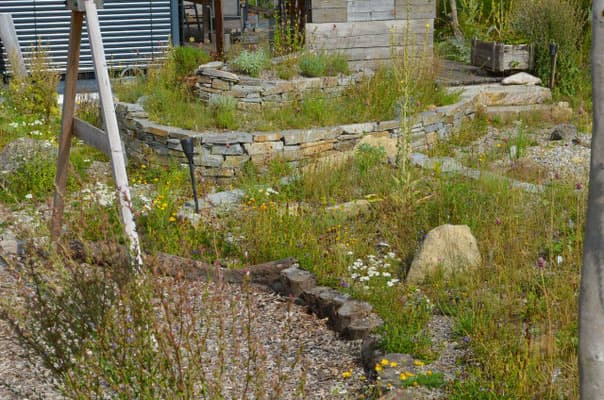 Selbstversorger-Naturgarten - Bild 5