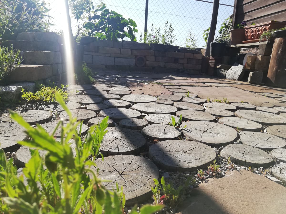 Natur- und Permakultur-Schrebergarten - Bild 6