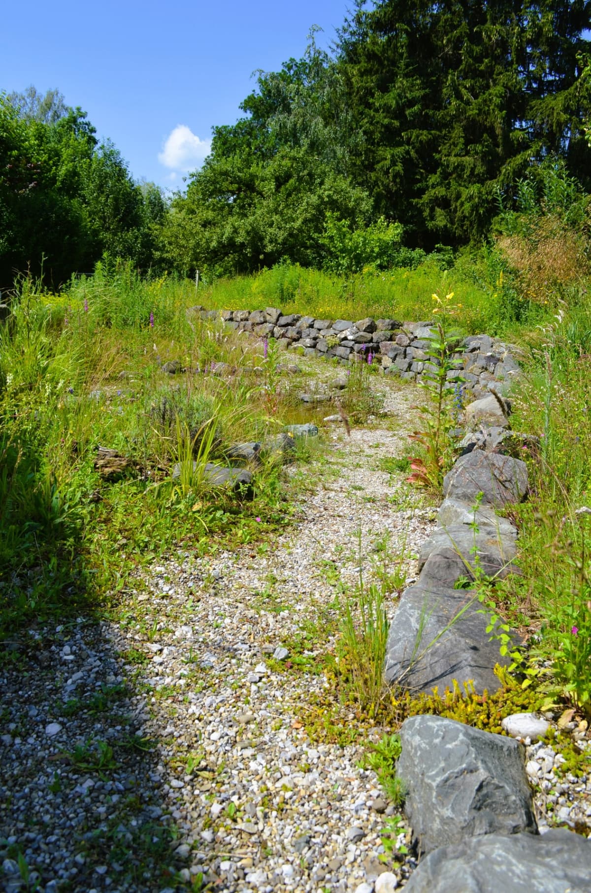 Natur-Erlebnis-Garten - Bild 6